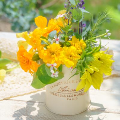 写真のタイトル